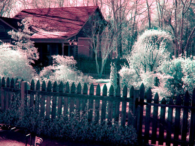 false color G1 IR demo.jpg