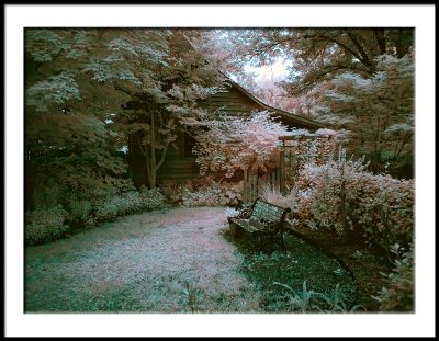 Woodland Garden Corner in False Color IR