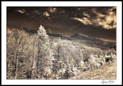 Grandfather Mountain/Winter Day