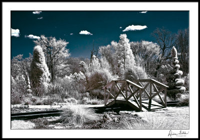 Scroll Garden Bridge