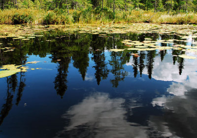 Reflections in Dead River