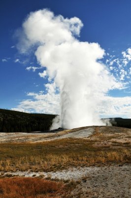 Old Faithful Venting