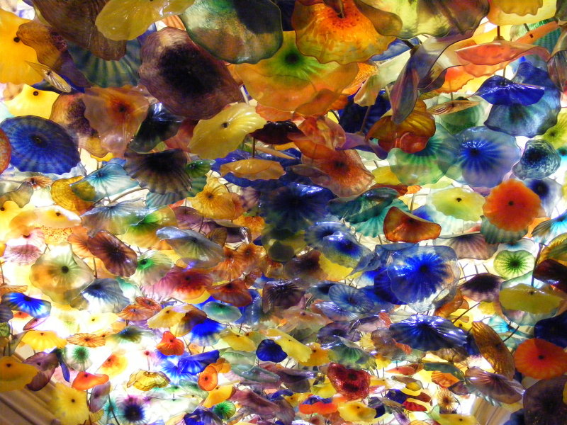 DSCF1220.JPG