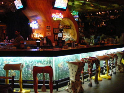 Rainforest bar