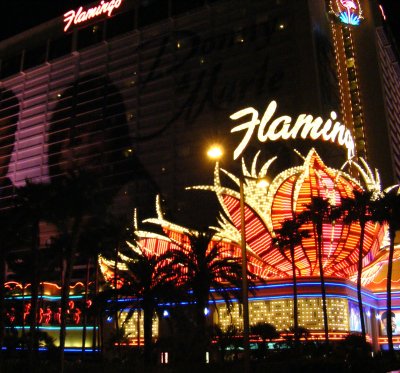 Flamingo hotel