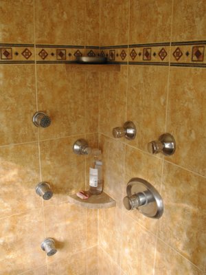 Master Shower Body Jets