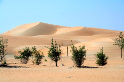 Sand dune 1, Al Ain UAE
