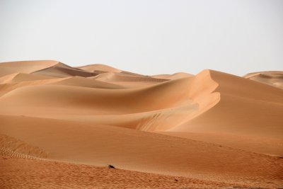 IMG_0214 Liwa Desert in Empty Quarter UAE