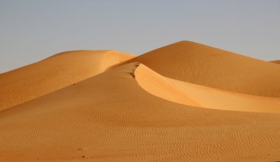 IMG_0215 Liwa Desert in Empty Quarter UAE