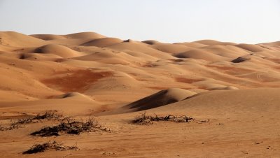 IMG_0217 Liwa Desert in Empty Quarter UAE
