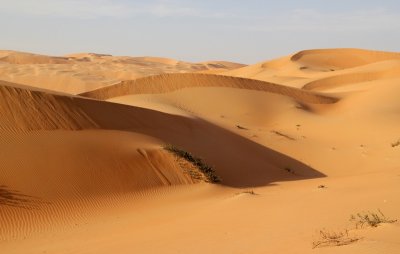 IMG_0221 Liwa Desert in Empty Quarter UAE