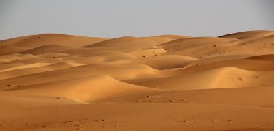 IMG_0219 Liwa Desert in Empty Quarter UAE