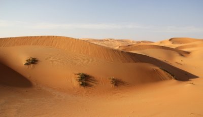 IMG_0222 Liwa Desert in Empty Quarter UAE