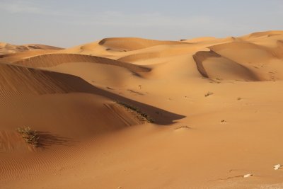 IMG_0224 Liwa Desert in Empty Quarter UAE