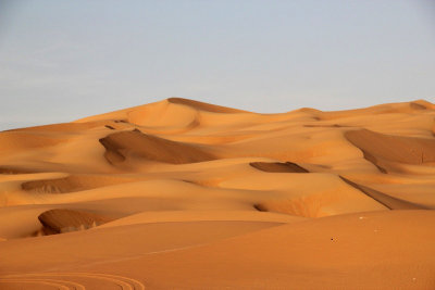 IMG_0236 Liwa Desert in Empty Quarter UAE