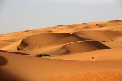 IMG_0241 Liwa Desert in Empty Quarter UAE