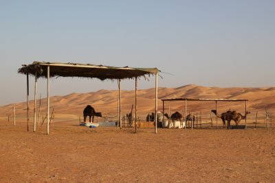IMG_0199 Camel camp in Liwa desert UAE