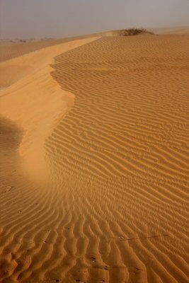 Desert Beauty - Liwa Desert in the Empty Quarter UAE