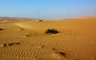 P1010156 Liwa Desert in Empty Quarter UAE