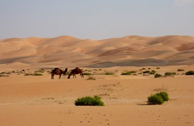Desert Beauty - Liwa Desert in the Empty Quarter UAE