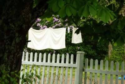 P1000347.jpg laundry and lilacs, on the way to newfoundland  , see my new poster calendars 2001 at amazon link below