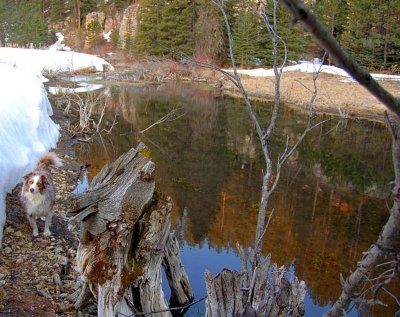 Melting Snow