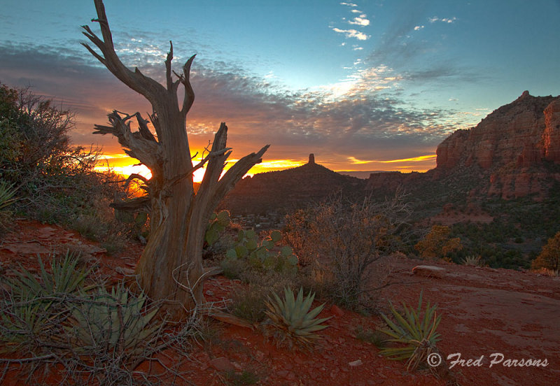 Sugarloaf Sunset    #7378