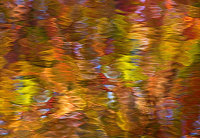 River's Reflection    # 1177  (see others in fall '08 gallery)