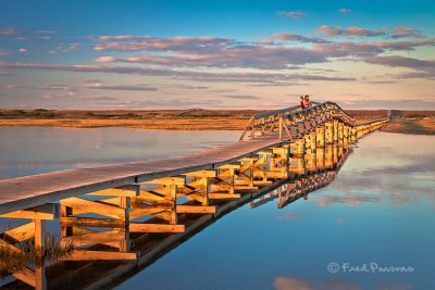 Footbridge - Cape Cod  #MG 5899