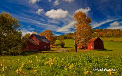 Two Red Barns - MG-6001 Which image do you like best (see below)