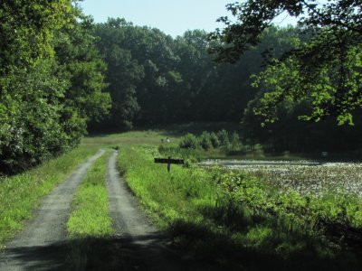 Harding Sp Pond