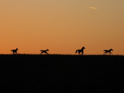 4 horses in the sunset 2.