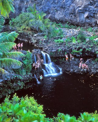 Maui IV
