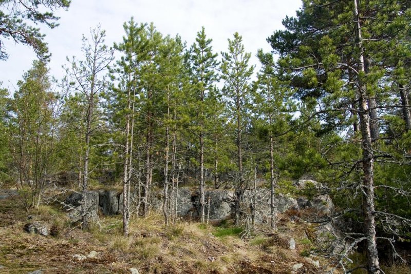 CIMG_3258.jpg