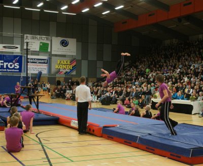 Gymnastik Aabenraa 2009-1 416.jpg