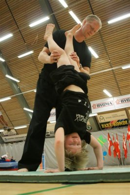 Gymnastik Aabenraa 2009-2 168.jpg