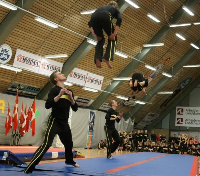 Gymnastik Aabenraa 2009-4 090.jpg