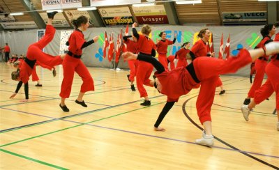 Gymnastik Aabenraa 2009-3 141.jpg