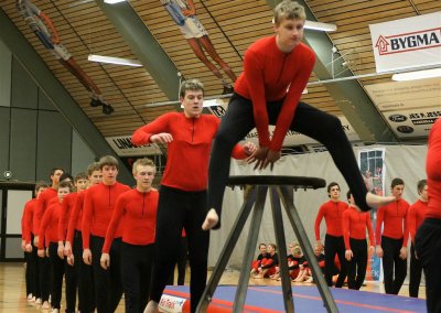 Gymnastik Aabenraa 2009-3 149.jpg