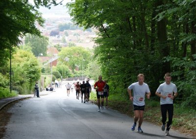 Bjergm.2009 513.jpg