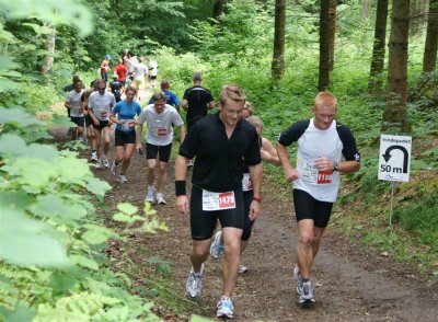Bjergm.2009 603.jpg