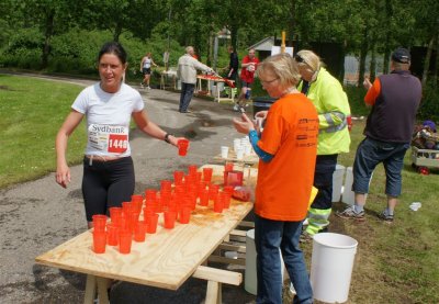 Bjergm.2009 703.jpg