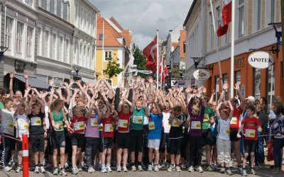Bjergm.2009 755.jpg