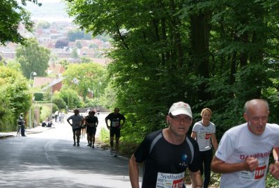 Bjergm.2009 512.jpg