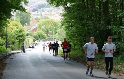 Bjergm.2009 513.jpg