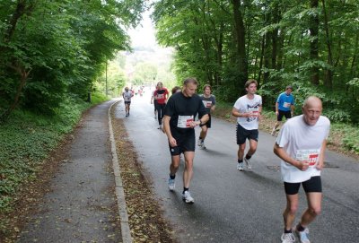 Bjergm.2009 561.jpg
