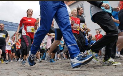 Bjergm.2009 780.jpg