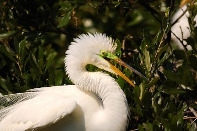 DSC_2067-p.jpg