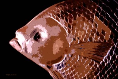 Fish Tray Creation II