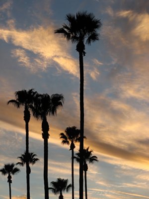 Sunsets